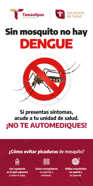 Banner-Sin mosquito no hay dengue_300x600
